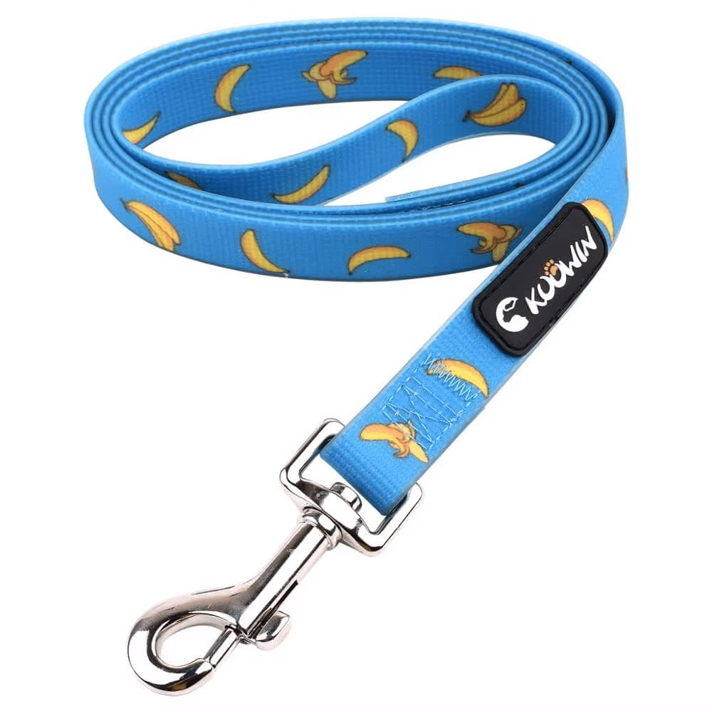Dog Accessories